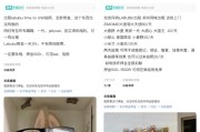 官运测试闲鱼：LABUBU搜索量环比上涨1000%，供不应求下现租赁新形式