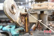官运测试小蚕虫变身“产业龙”，广西这座小城如何实现“破茧重生”？