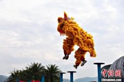 官运测试（文化中国行）壮乡狮舞闯南洋：脚踏“云桩” 饮誉海内外